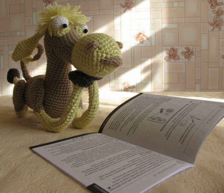 Book Lover Amigurumi Crochet: Crochet pattern